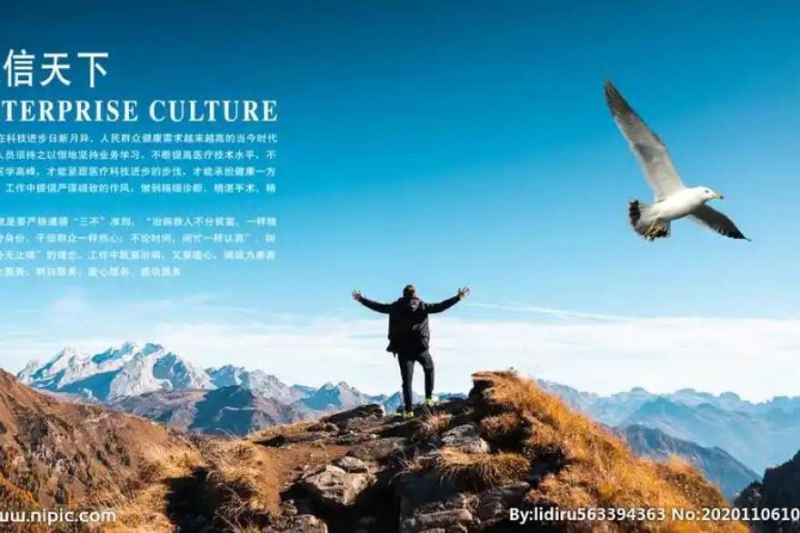观赛设备与网络设置指南：稳定高清的五个细节