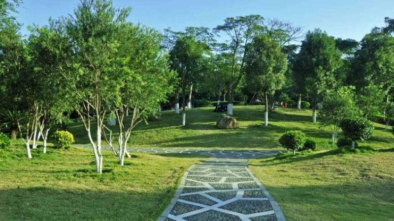 2026LOL全球总决赛举办城市怎么确定?城市申办与场馆选择的判断思路